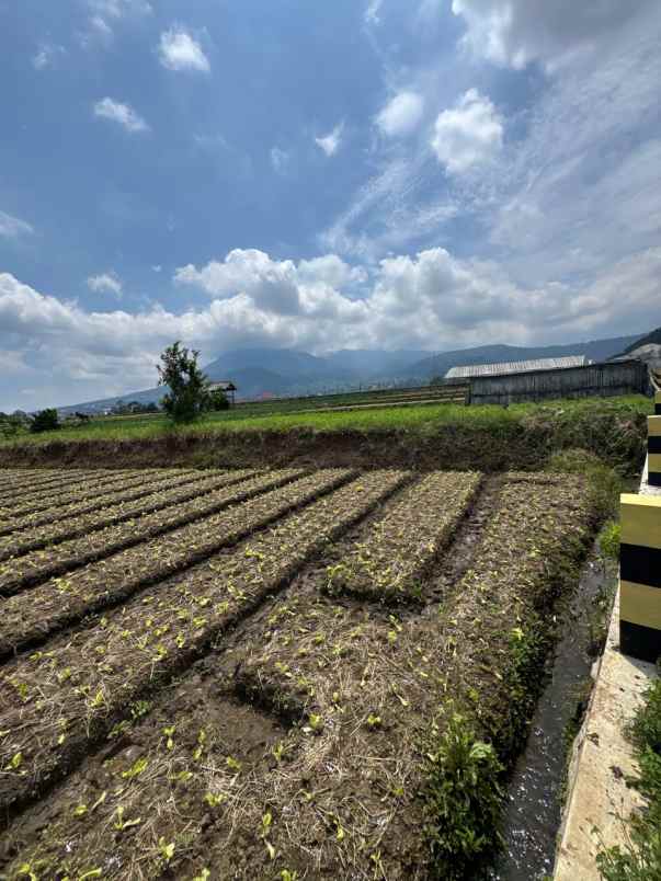 dijual tanah lokasi metro kota batu view cantik