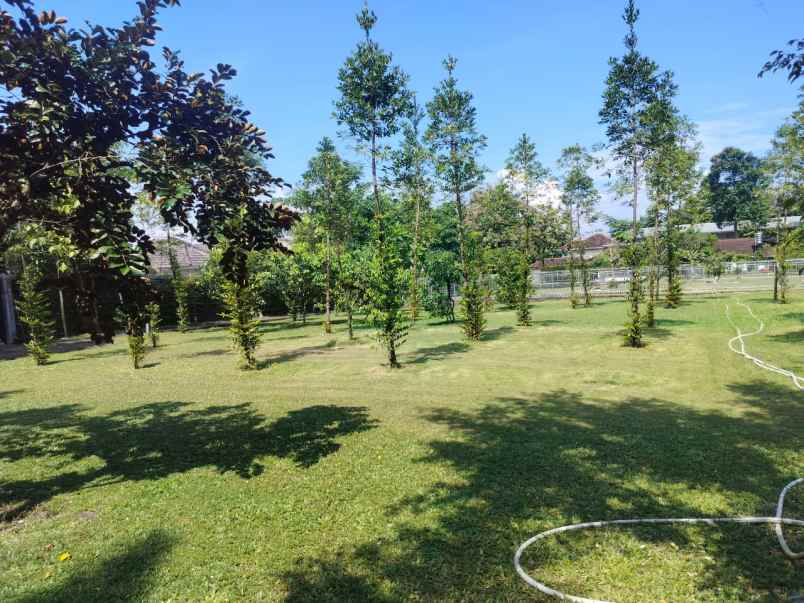 dijual tanah luas 7119 m2 dekat stadion maguwoharjo