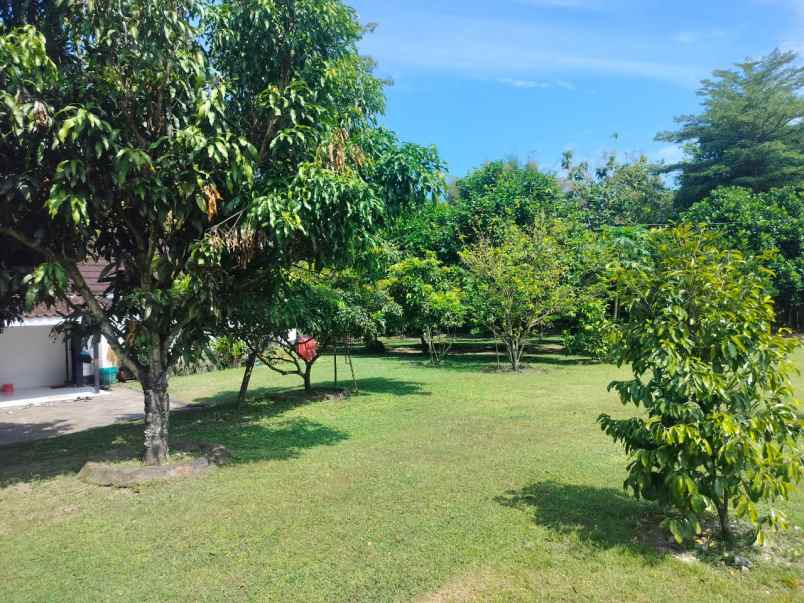 dijual tanah luas 7119 m2 dekat stadion maguwoharjo