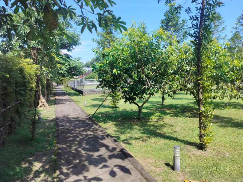 dijual tanah luas 7119 m2 dekat stadion maguwoharjo