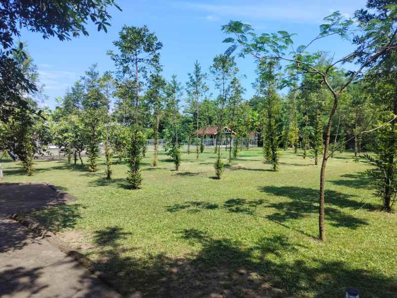 dijual tanah luas 7119 m2 dekat stadion maguwoharjo