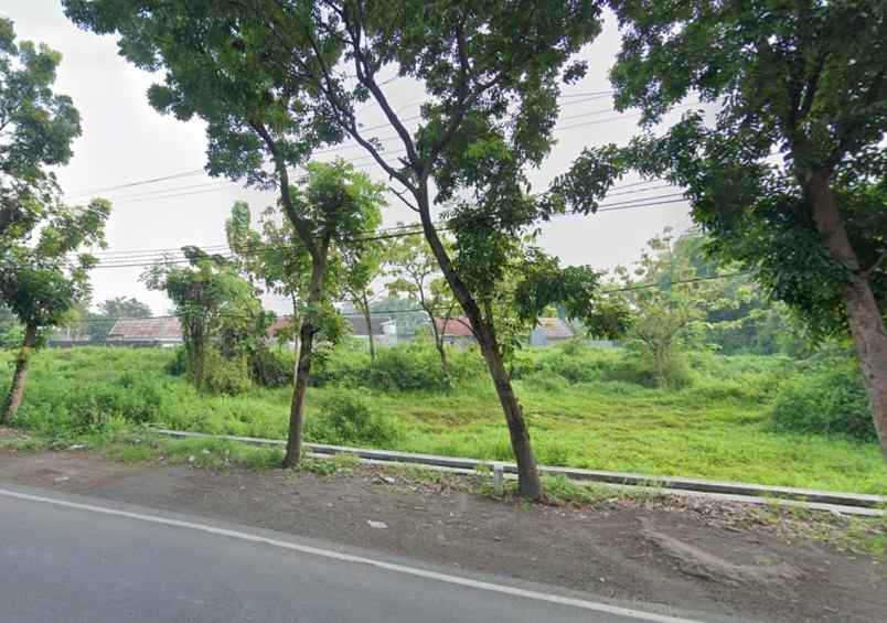 dijual tanah luas dan murah di kepuh kembeng jombang