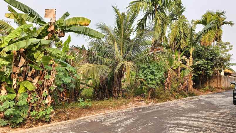 dijual tanah murah lokasi jalan pendidikan sukabangun