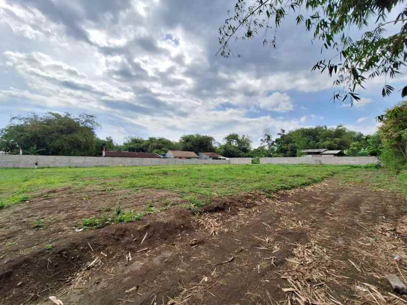 dijual tanah ngangkrik triharjo sleman