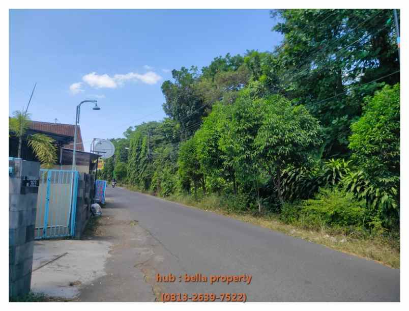 dijual tanah nologaten