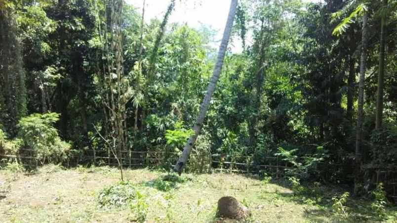 dijual tanah penatahan tabanan bali