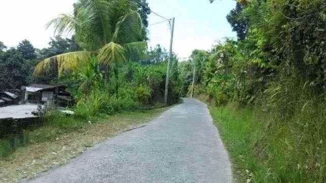 dijual tanah penatahan tabanan bali