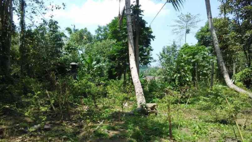 dijual tanah penatahan tabanan bali