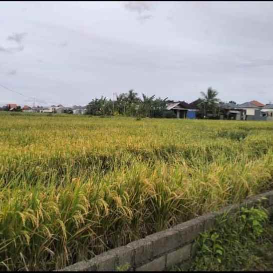 dijual tanah perum tridatu residence