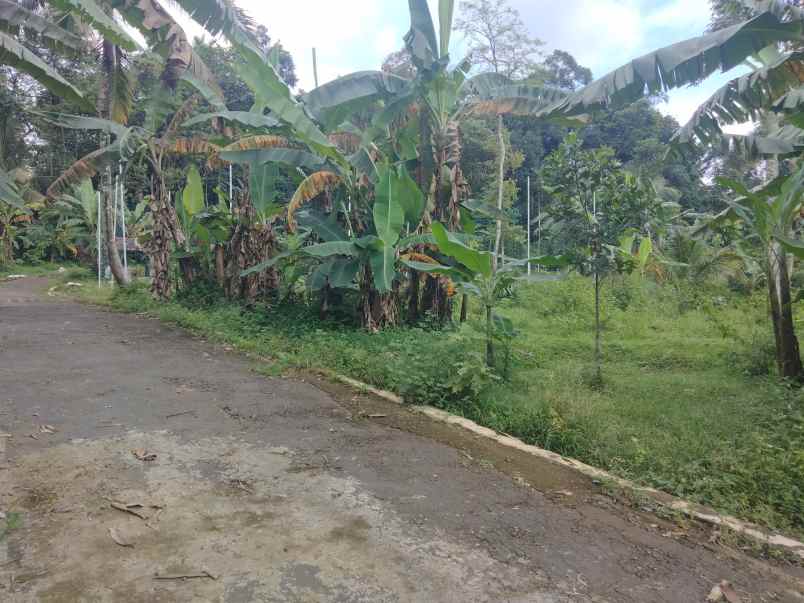 dijual tanah pinggir jl desa akses mobil