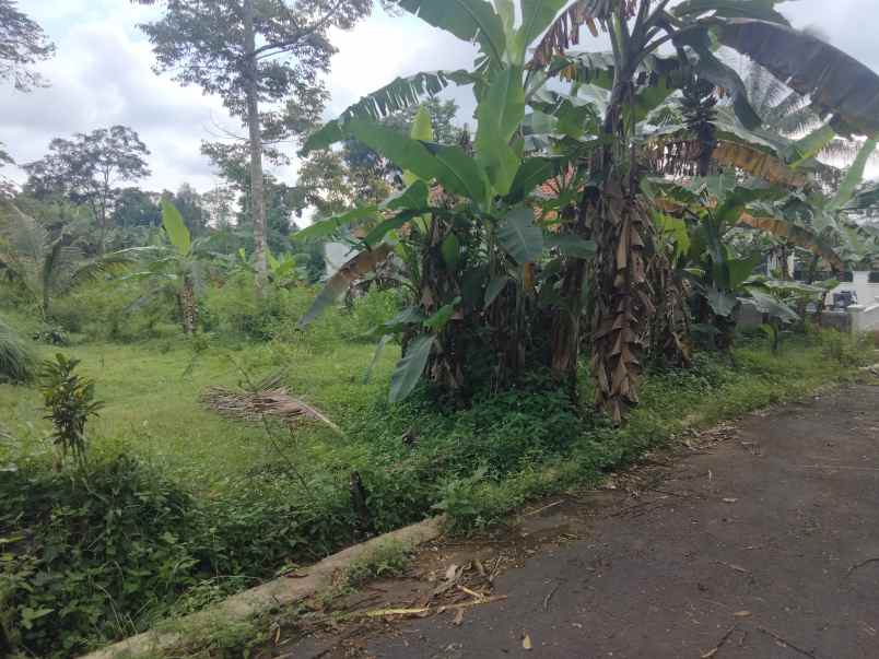 dijual tanah pinggir jl desa akses mobil