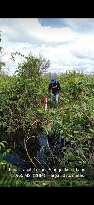 dijual tanah punggur kecil