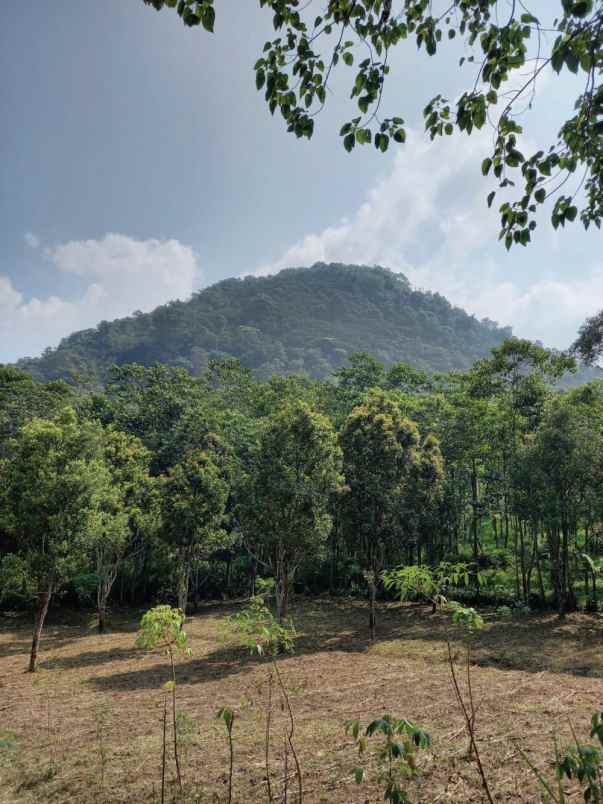 dijual tanah raya nagreg