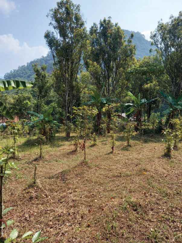 dijual tanah raya nagreg