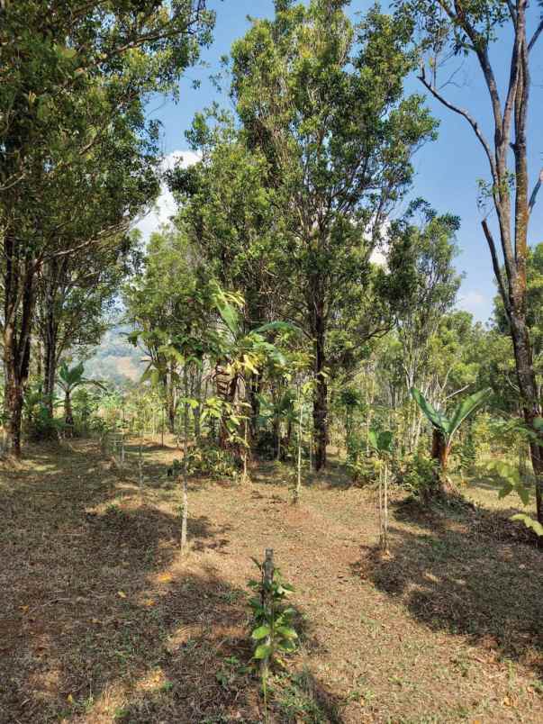 dijual tanah raya nagreg