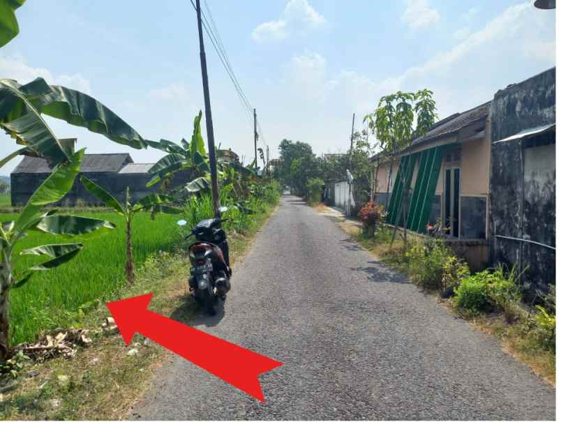 dijual tanah samping perumahan kasongan