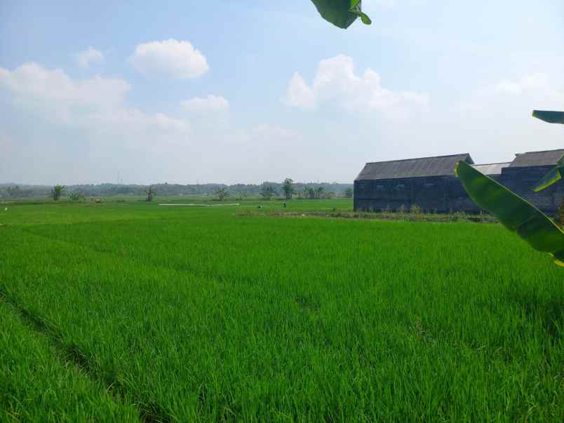 dijual tanah samping perumahan kasongan