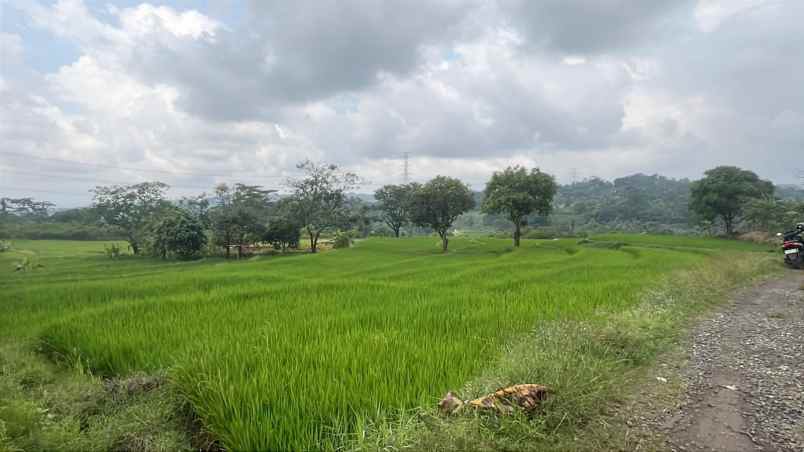 dijual tanah sawah produktif