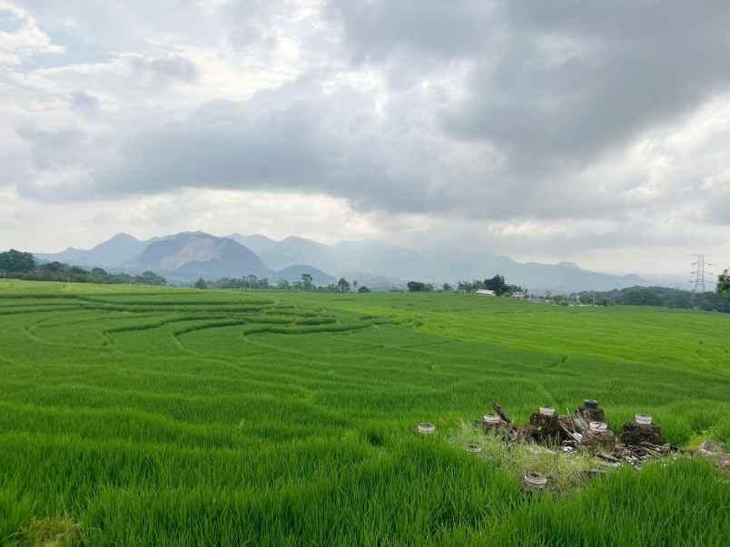 dijual tanah sawah produktif