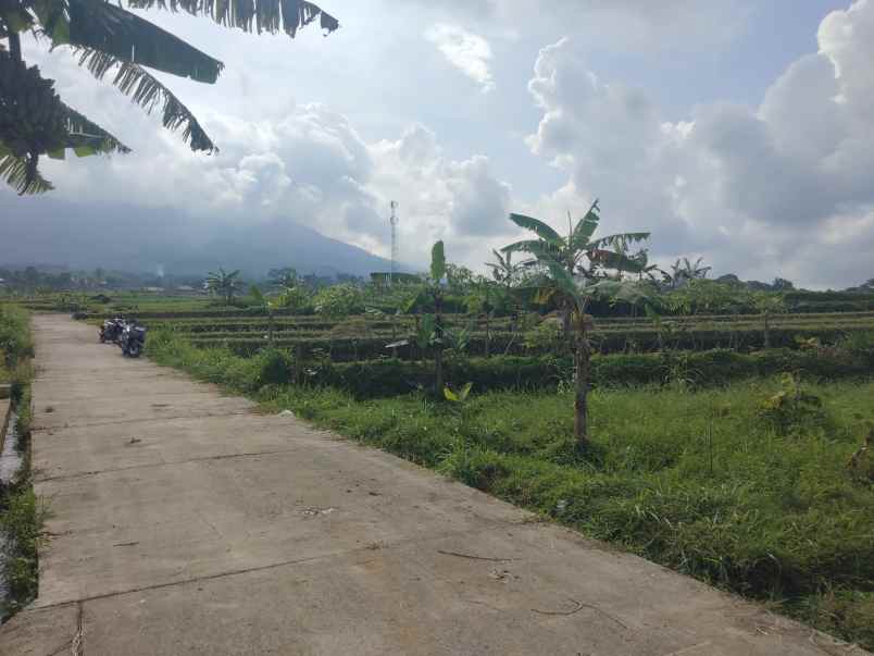 dijual tanah strategis view gunung