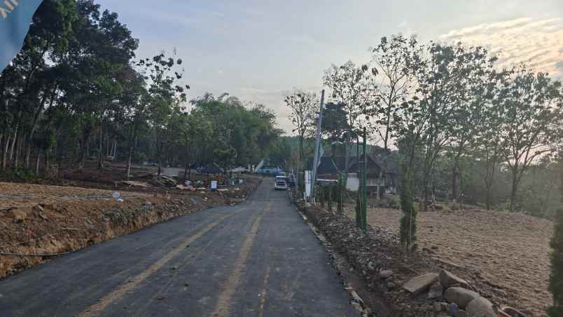 dijual tanah sukamakmur bogor