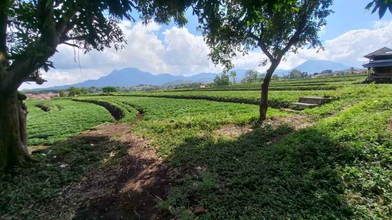 dijual tanah tanjungsari