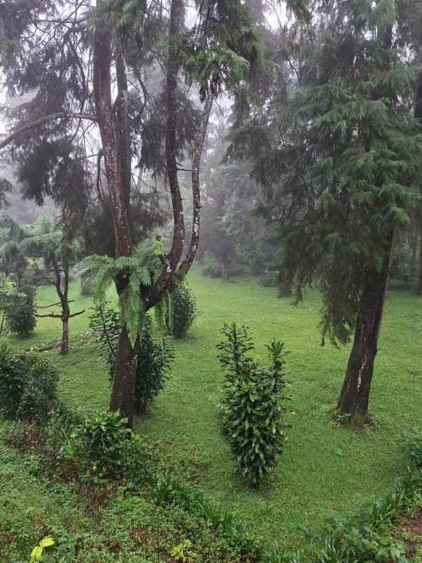 dijual villa jalan raya puncak cisarua