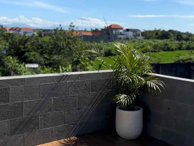 dijual villa lantai 2 view sawah canggu