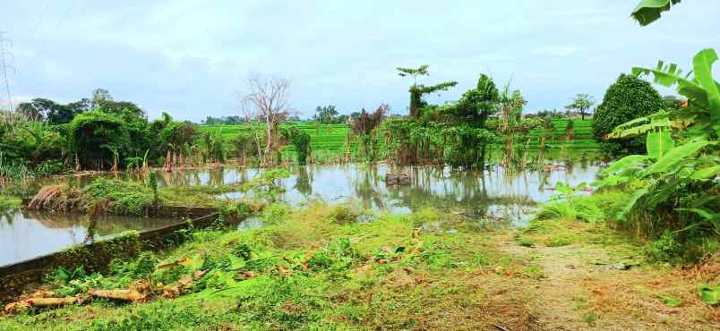 disewakan tanah 800 m2 di kapal mengwi badung bali