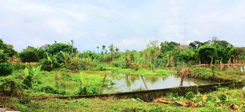 disewakan tanah 800 m2 di kapal mengwi badung bali