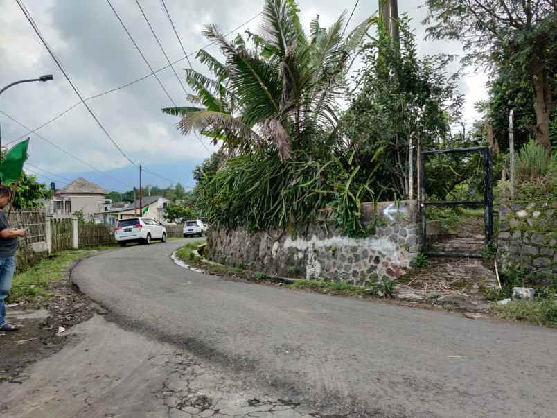 edisi bu kebun buah naga super luas murah di kota batu