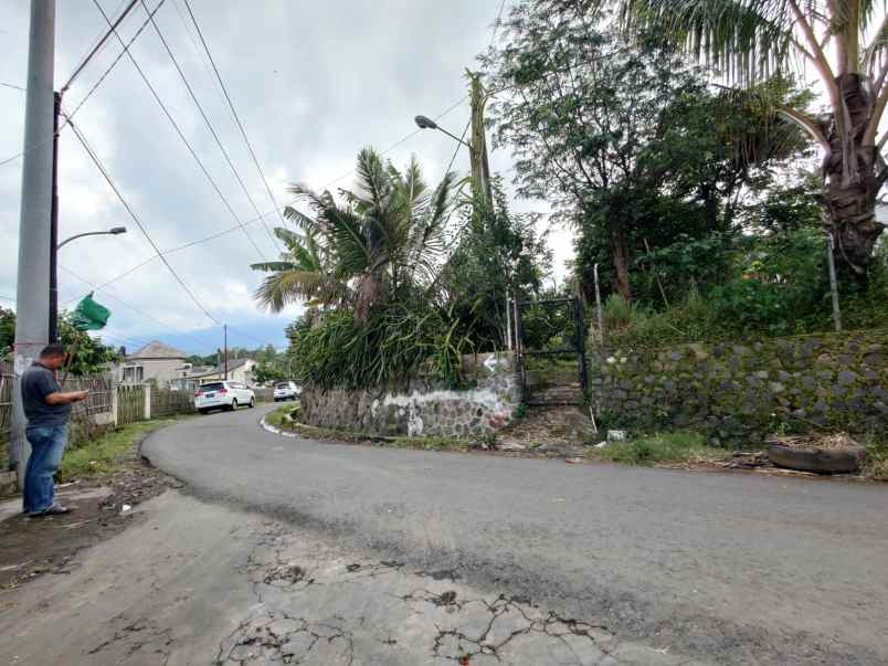 edisi bu kebun buah naga super luas murah di kota batu