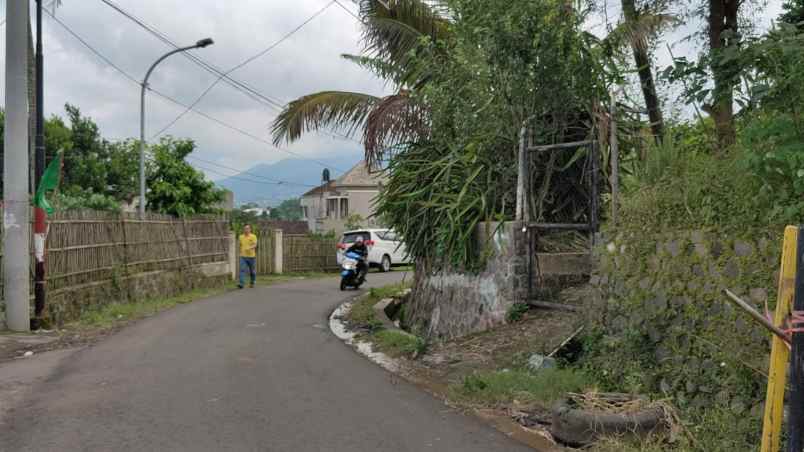 edisi bu kebun buah naga super luas murah di kota batu