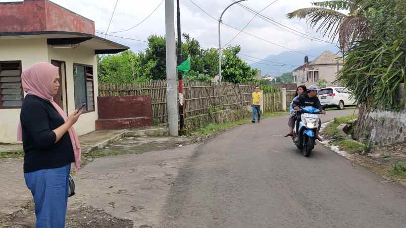 edisi bu kebun buah naga super luas murah di kota batu