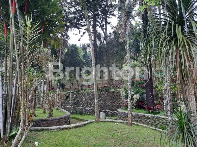 hotel dan cottages area trawas nol jalan