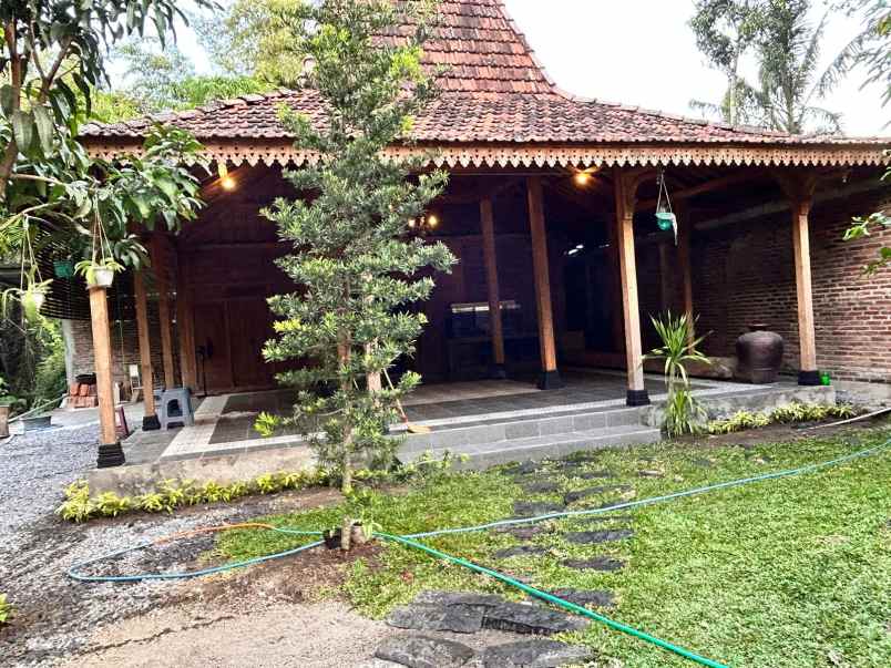 investasi rumah joglo di jogja view sungai dan sawah