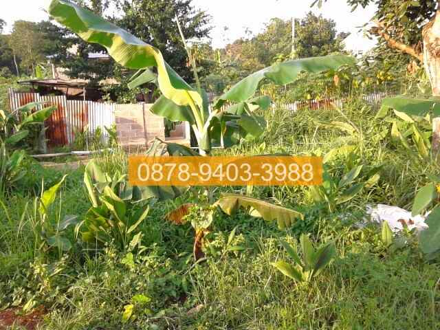 jual tanah jati asih bekasi 250m2 2aa38d