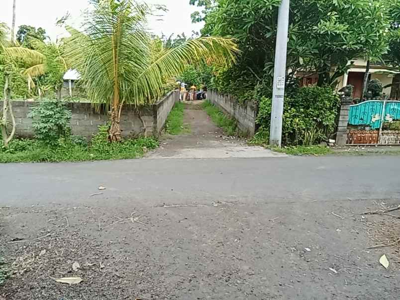 jual tanah murah di lovina lokasi sangat strategis