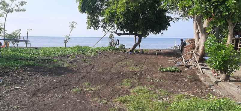 jual tanah murah pinggir pantai plot kecil lovina