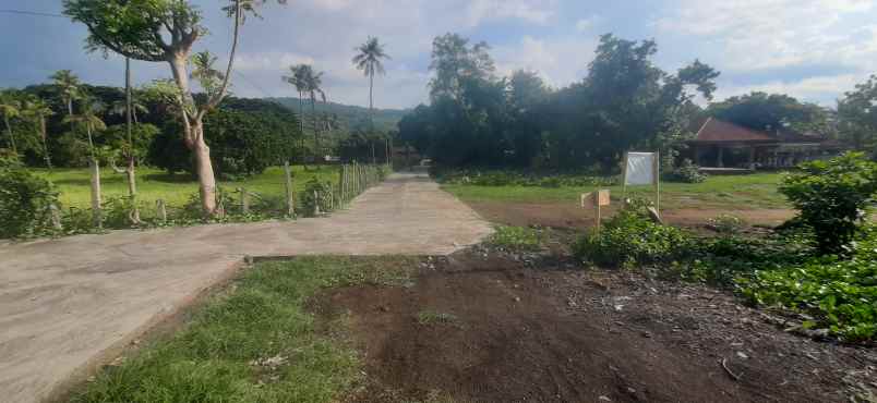 jual tanah murah pinggir pantai plot kecil lovina