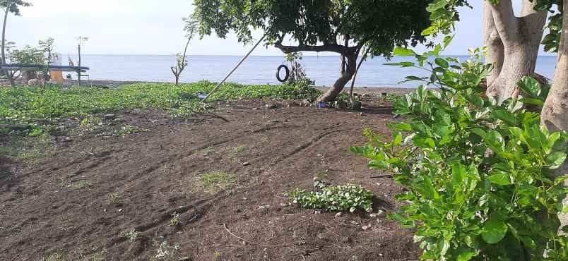 jual tanah murah pinggir pantai plot kecil lovina