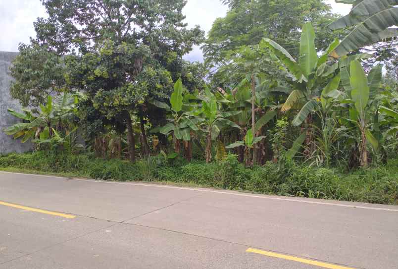 jual tanah pinggir jalan raya jasinga cigudeg