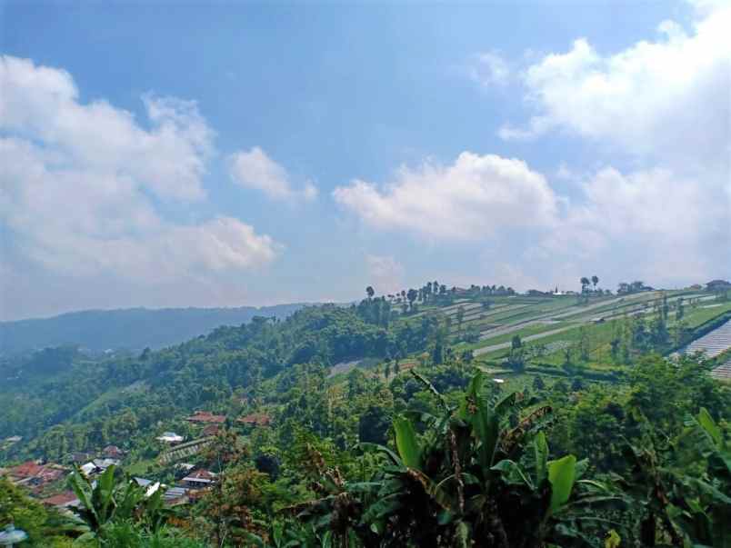 jual tanah samping kebun teh kemuning karanganyar