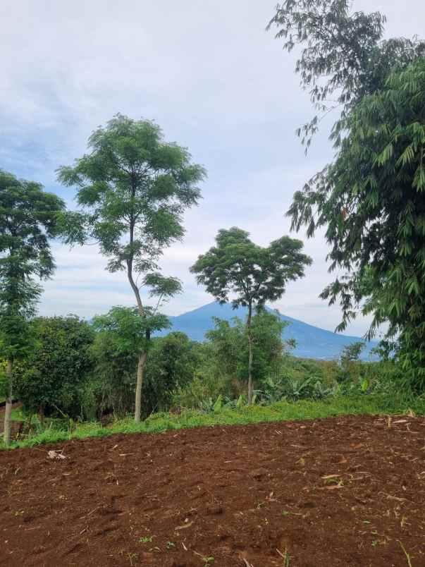 kavling ekslusif kalamaya ecolodge puncak