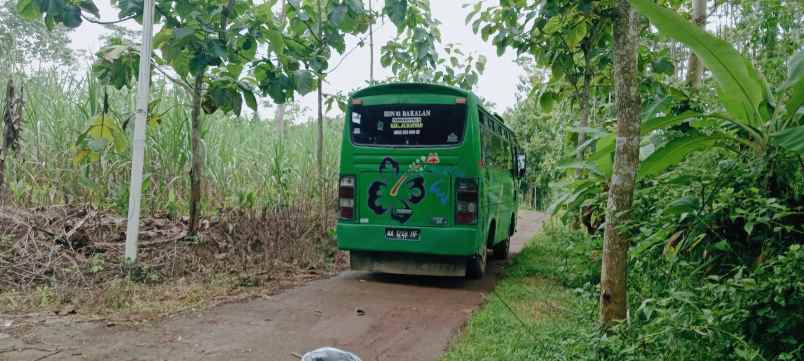 lahan peternakan 2 s d 4 hektar karanganyar 185rb m2