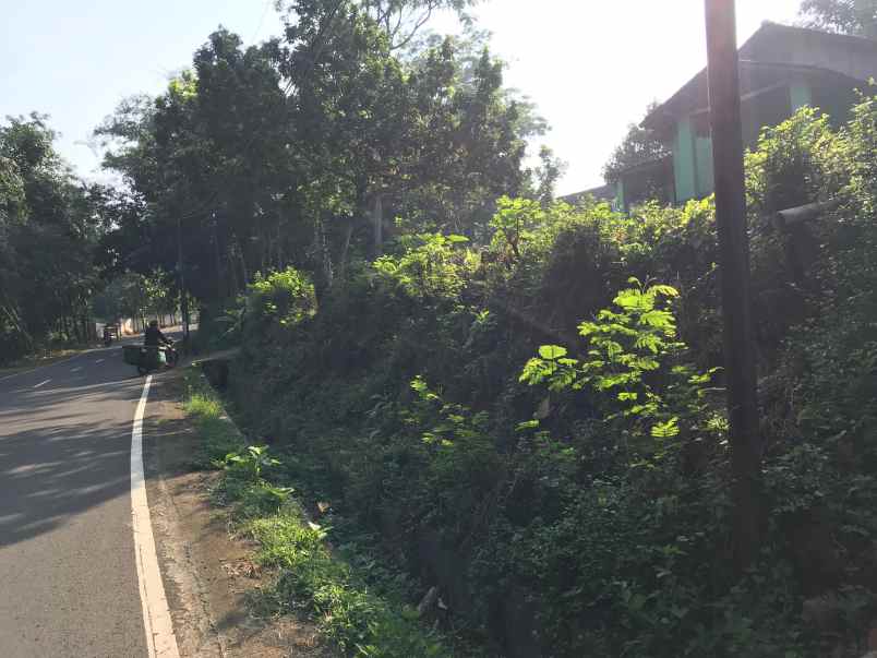 pekarangan tepi jl raya 259m kerjo karanganyar