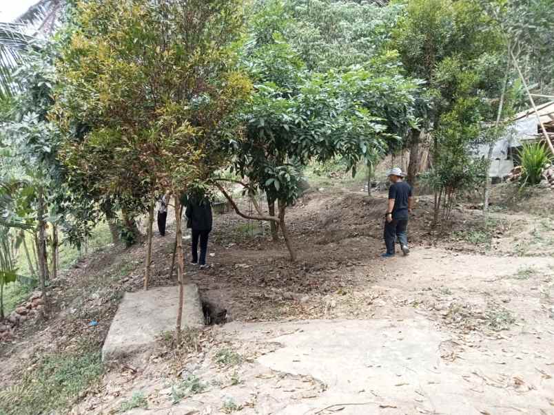 rumah murah dekat puri citraland ciracas kota serang