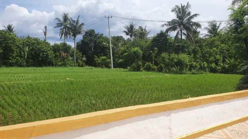 rumah nyaman dengan kebun indah