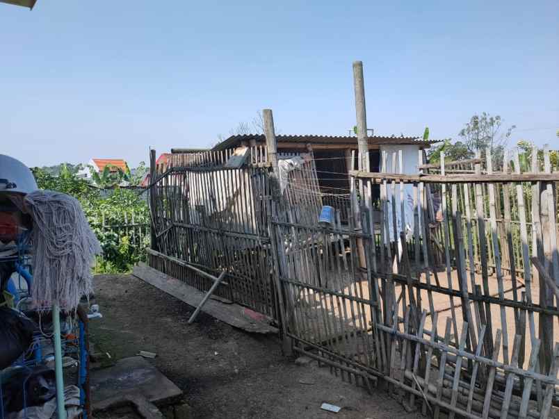 rumah siap huni plus kebun jeruk luas di kota batu