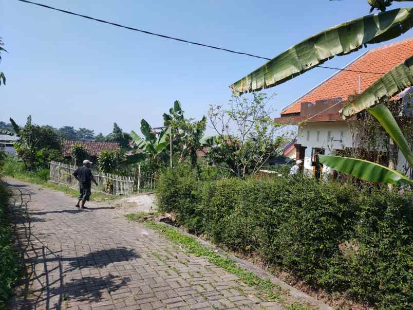 rumah siap huni plus kebun jeruk luas di kota batu